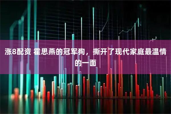 涨8配资 霍思燕的冠军狗，撕开了现代家庭最温情的一面